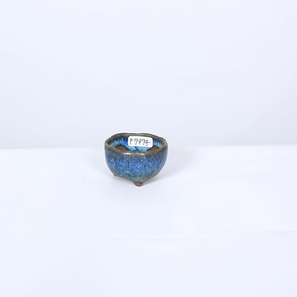 現代小鉢：今岡町直　猫足丸鉢【現品】*4.7cm　machi｜遊恵盆栽　店