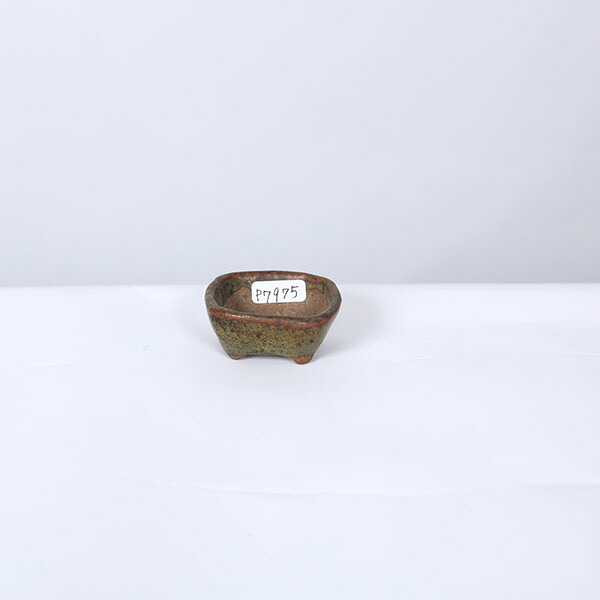 現代小鉢：今岡町直　長方鉢【現品】*4.9cm　machi｜遊恵盆栽　店