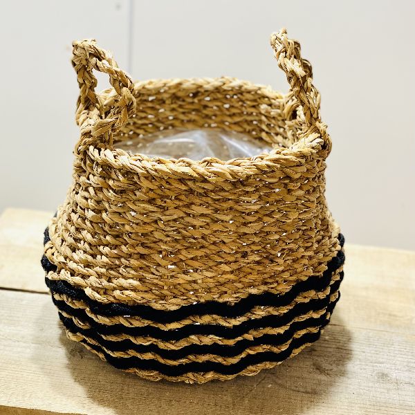 おしゃれ 観葉植物 オオタニワタリ 大谷渡 バスケットカバー付 Crunchusers Com