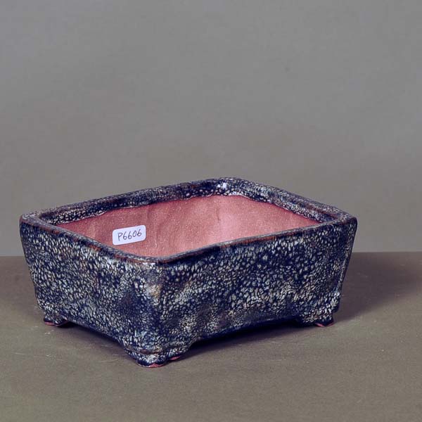 楽天市場】現代小鉢：井上良斎 長方鉢 15.0cm【現】*資材 : 遊恵盆栽