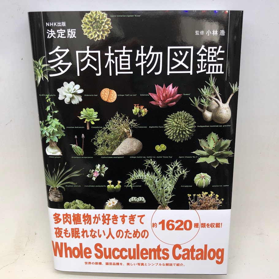 多肉植物写真集　1巻. 2巻 国際多肉植物協会 多肉植物写真集 | 国際多肉植物協会 |本 | 通販 | Amazon