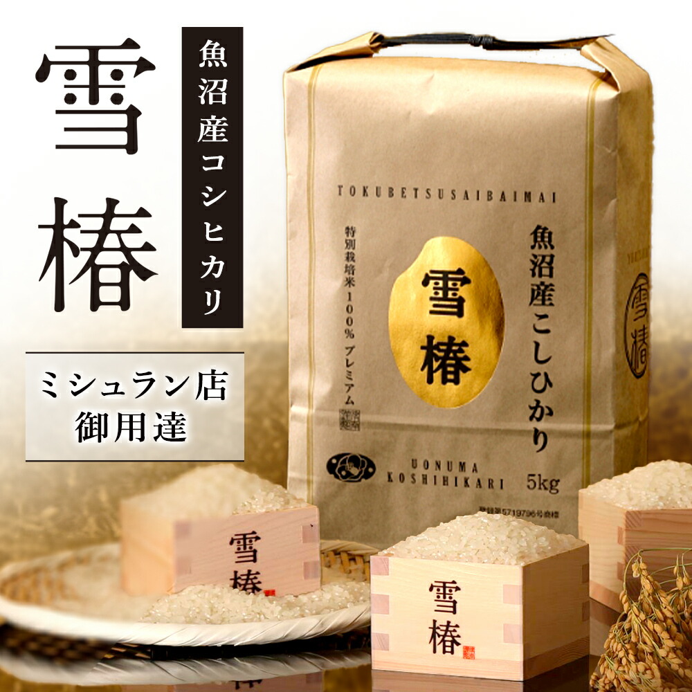 コシヒカリ 白米 令和6年産 10kg 楽天市場】米 10kg 魚沼産コシヒカリ 令和6年 新潟 一等米 白米