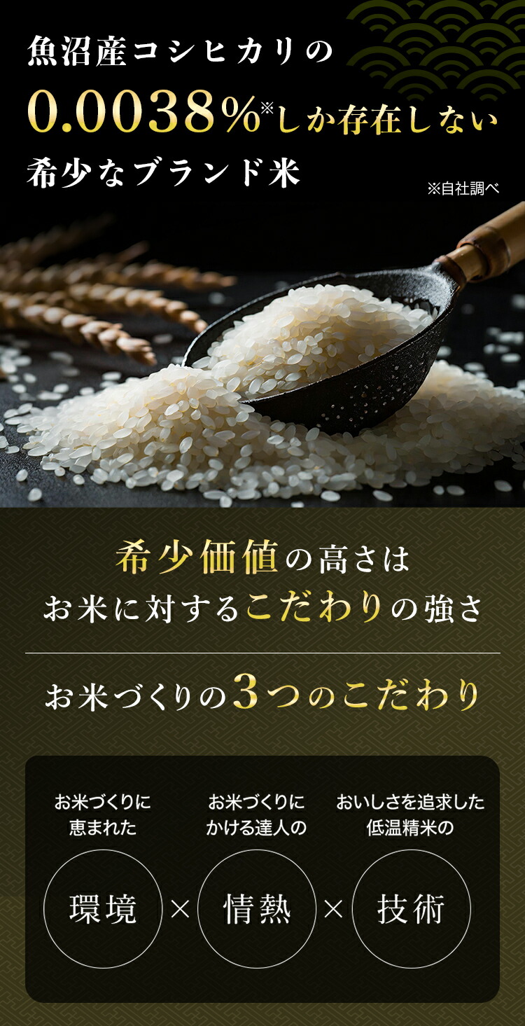 【早期予約特典P5倍】新米予約令和6年産魚沼産コシヒカリ5kg魚沼産2024年産新米予約米ギフト令和6年最高級最高金賞金賞受賞雪椿贈答用新潟県産魚沼コシヒカリプレミアム特別栽培米お米白米内祝い新潟こしひかり白米5キロ白米5新米5キロ送料無料