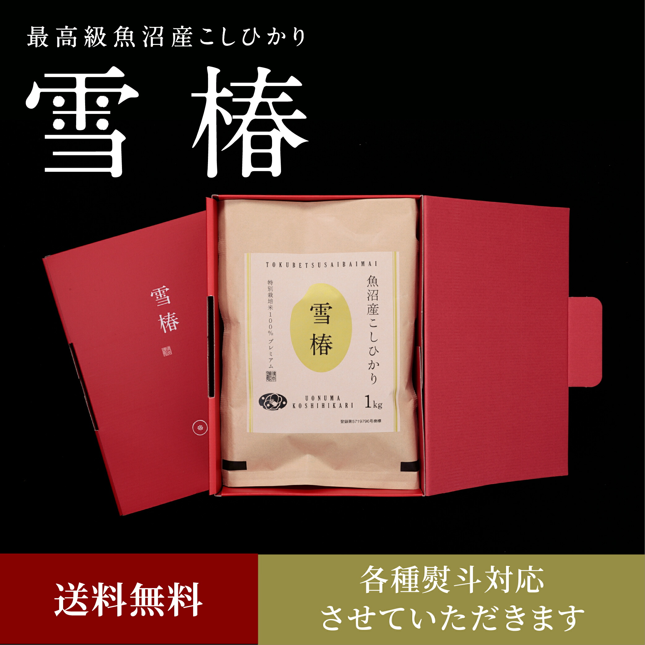 【楽天市場】令和5年産 魚沼産コシヒカリ 5kg ×1袋 贈答用 化粧