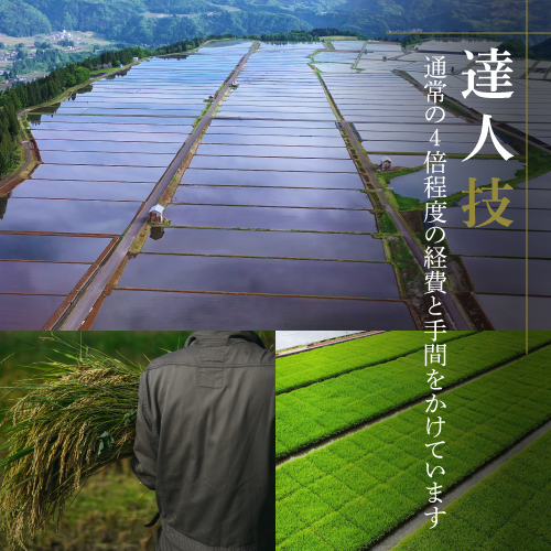 新米予約令和4年産最高級新潟県魚沼産こしひかり特別栽培米「雪椿」5キロ