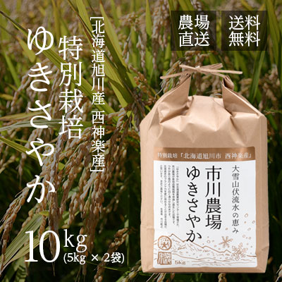 【農家直送】市川農場が世に出した新しい北海道米 「ゆきさやか」10kg 【送料無料】 /米/お米/北海道米/送料込み