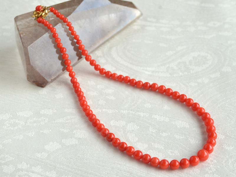楽天市場】【全品ポイント5倍】 血赤珊瑚 ネックレス サンゴ さんご 18