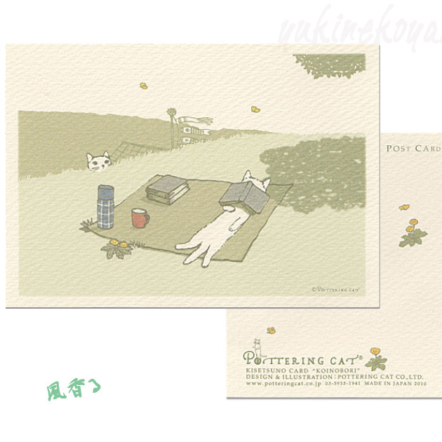 楽天市場】【猫のポストカード】サーフローラー☆ポタリングキャット（絵葉書 絵はがき 文房具 ステーショナリー 猫雑貨 ねこ雑貨 ネコ雑貨 猫グッズ  ねこグッズ ネコグッズ キャット） : 雪猫屋 楽天市場店