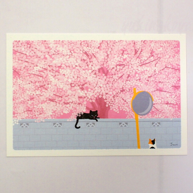 たびねこ 森俊憲 絵画生活 16枚セット