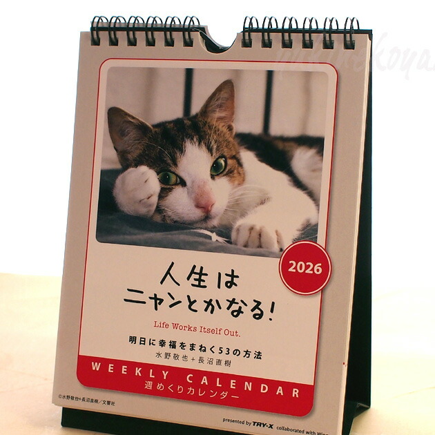 アンティーク江戸時代　美しいツリ目と大きな耳が秀逸で雰囲気抜群の招き猫、三河猫 古色三河招き猫 大正ロマンの復刻版 レトロ招き猫 黒猫（小