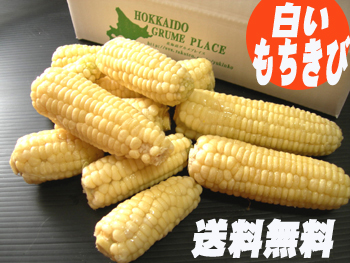 楽天市場 白いもちきび 規格外１キロパック 送料無料 黒いもちきびと食べ比べ 昔懐かしのとうもろこし 北海道グルメプレイス