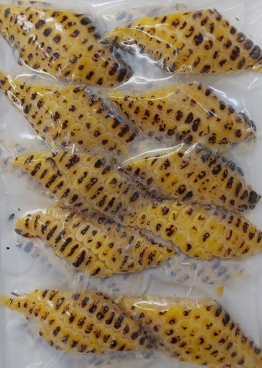 Simply Red Life 屋敷豪太 Gota ibiza