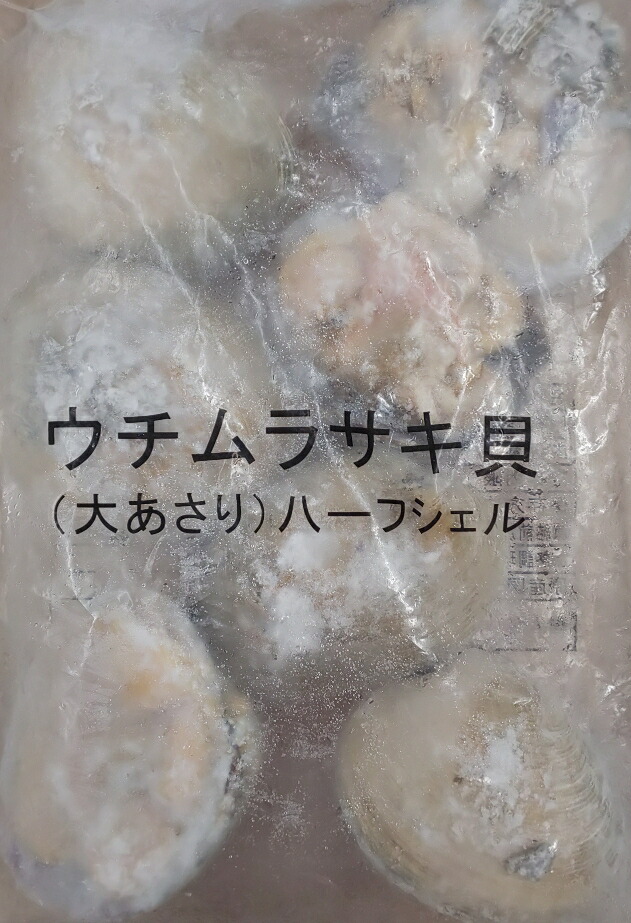 ウチムラサキ貝(大あさり)ハーフシェル 1kg(7-10個)x10P(P1,600円税別)業務用 ヤヨイ 限定品