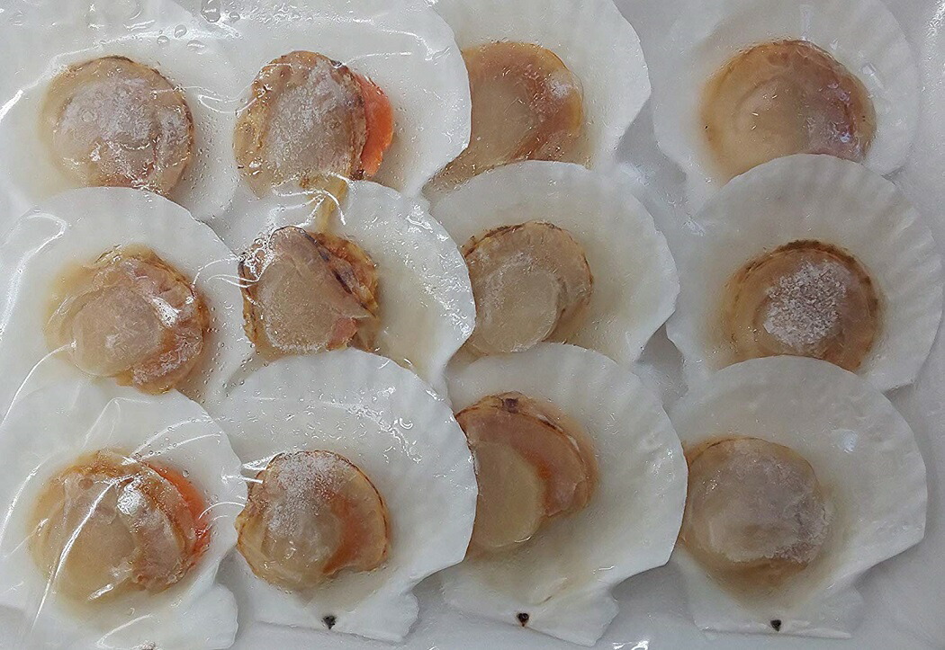 青森産 酒むし 帆立 浜ゆで ( 大 ) 12枚 ( 枚8-9cm )×20P(P760円税別) 冷凍 加熱用 業務用 激安 ヤヨイ