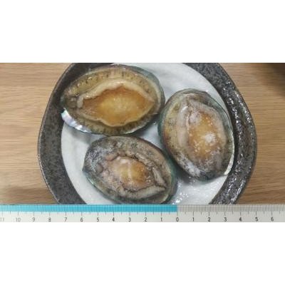 生食用　殻付蝦夷鮑1kg（個40～50ｇ）x10Ｐ（P3900円税別）限定品　業務用　ヤヨイ　あわび　下記に個30-40ｇ、50-60ｇ、61-70ｇも記載中｜品揃え豊富！業務用食品問屋ヤヨイ