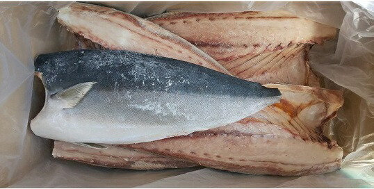 国産（長崎県）天然ぶりフィーレ　22kｇ（5～10尾）ｋｇ1120円税別　業務用　ヤヨイ　ブリ　加熱用