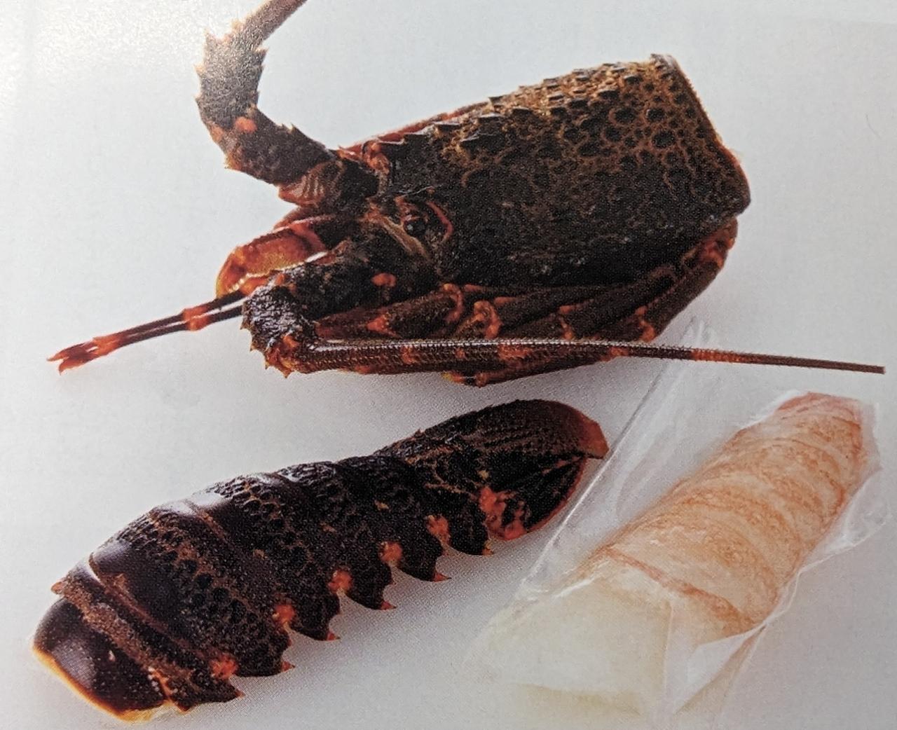 3分割加工 お刺身イセエビ ロブスター加工品(イセエビ系)200-250g×30尾(尾1,510円税別) 冷凍 業務用 ヤヨイ ※150g、150-200g、250-300gも種類からお選び頂けます。|品揃え豊富!業務用食品問屋ヤヨイ