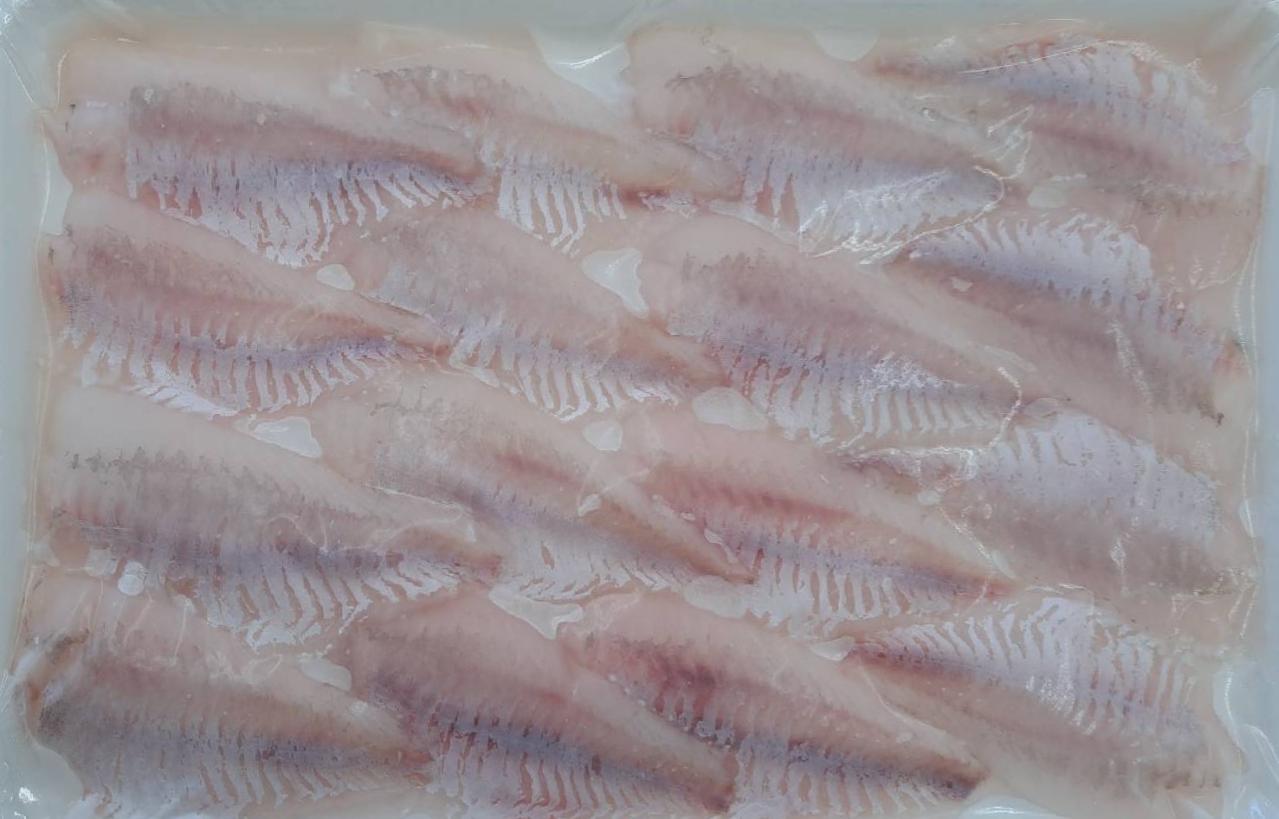 国産（愛知県産）白ムツフィーレ　刺身用　40Ｐ（約15ｇ×16枚）Ｐ1,350税別　冷凍　業務用　ヤヨイ