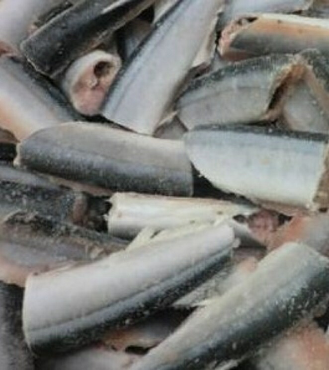 頭無し　さんま筒切　30ｇ×400個（個50円税別） 秋刀魚　業務用　ヤヨイ