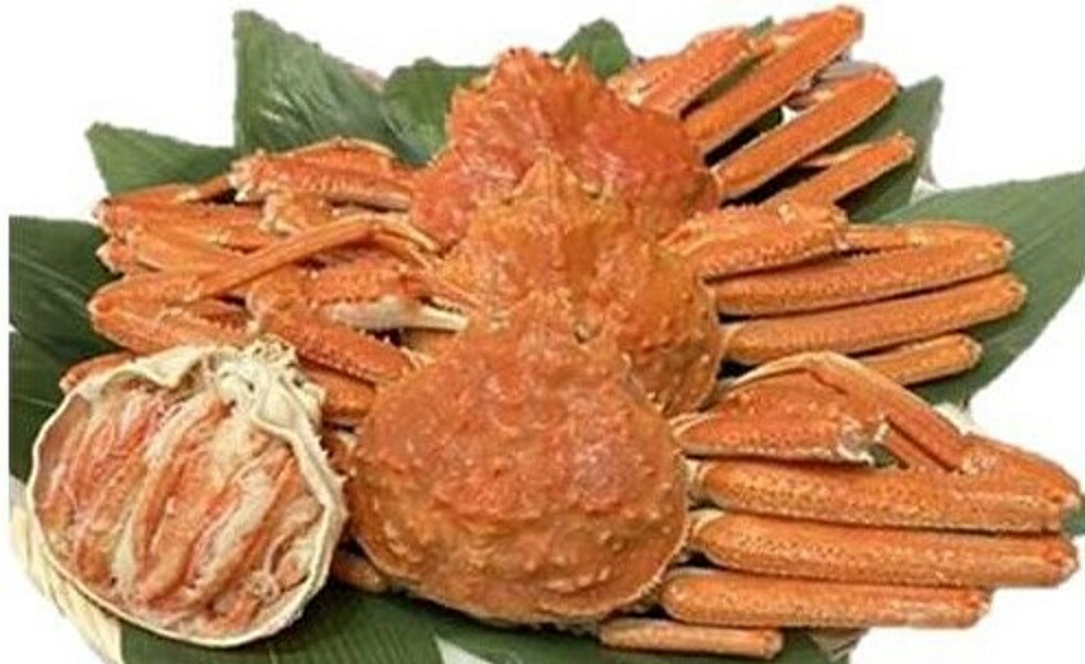 北海道産　大ボイルずわい蟹（姿）3kg（6～7尾）（kg5,000円税別）限定品　業務用　ヤヨイ