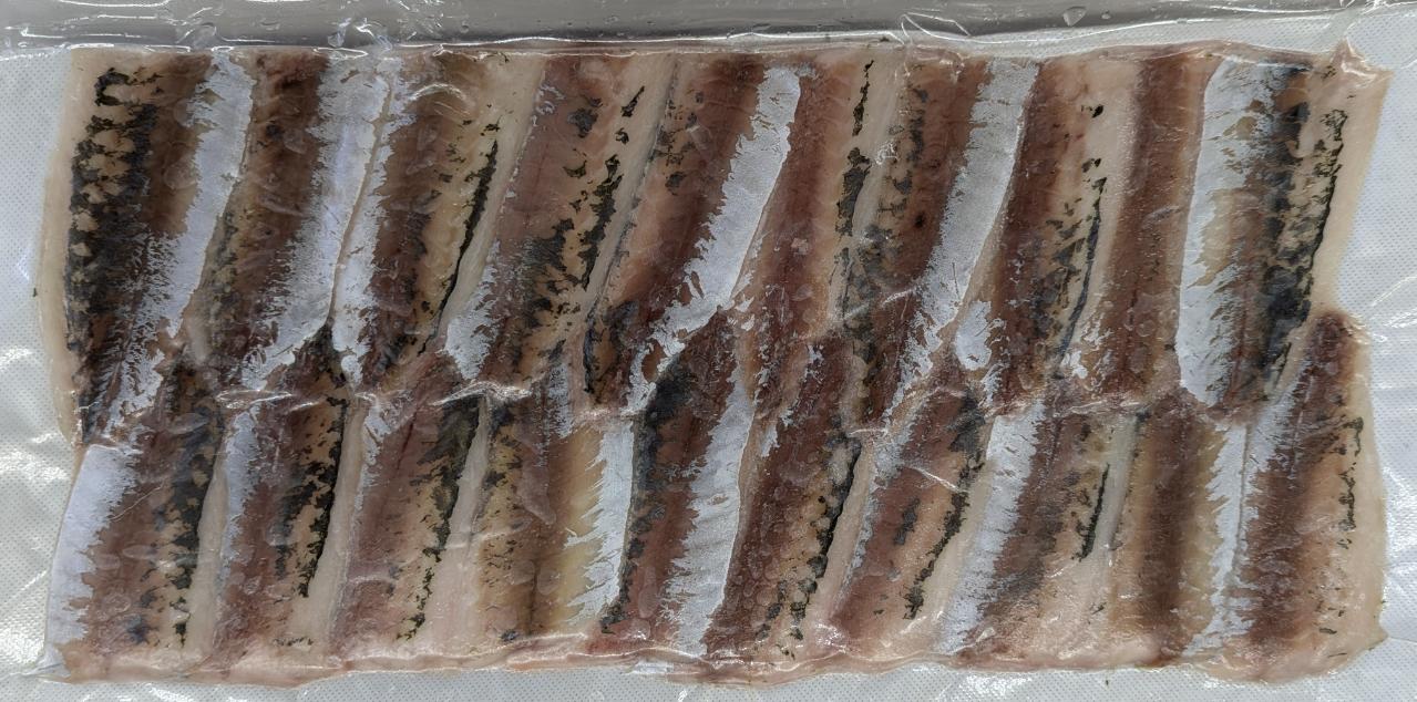 刺身・寿司ネタ　真あじ皮無しフィーレ　20枚×24Ｐ（P950円税別）冷凍　業務用　ヤヨイ