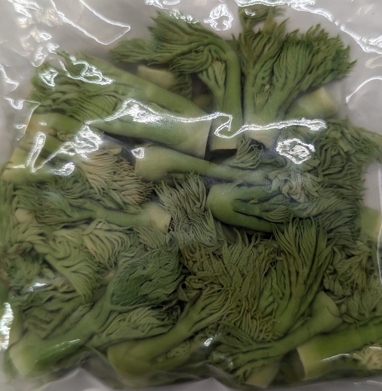 楽天市場】予約天然・たらの芽1kg(大小バラ詰め)※赤たらが主