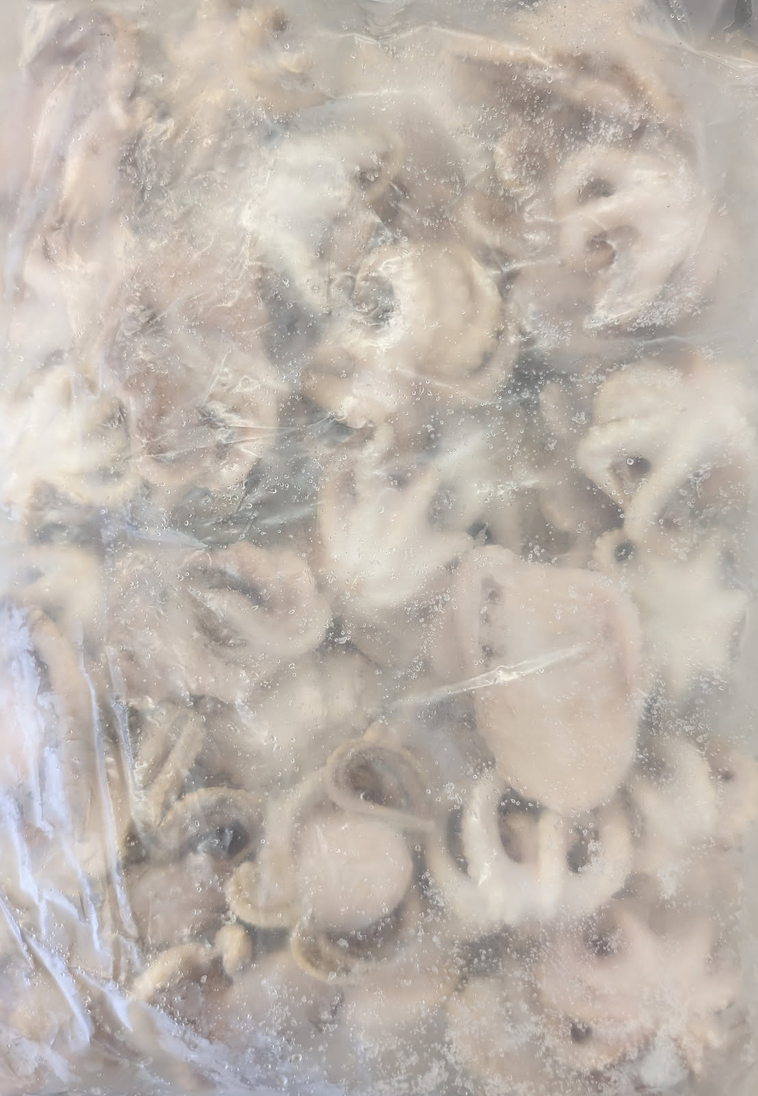 ベトナム産　生いいだこ1ｋｇ（26－40個）x10Ｐ（Ｐ2050円税別）冷凍　業務用　ヤヨイ