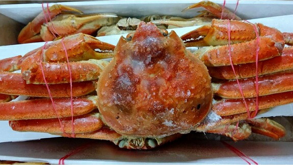 人気特価激安 国内加工 ボイルズワイガニ 姿 3kg ５尾 Kg3 800円税別 業務用 ヤヨイ 訳あり 品揃え豊富 業務用食品問屋ヤヨイ 新作モデル Www Flyingislandrealty Com