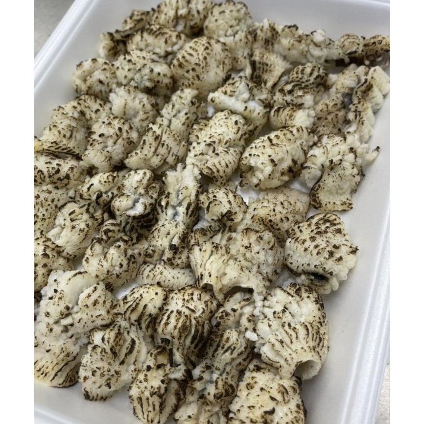 国産（愛媛・兵庫県）天然　湯引き鱧　(炙り又は湯引き)　500ｇ（個約15ｇ）x20Ｐ（P2,400円税別）冷凍　業務用　ヤヨイ