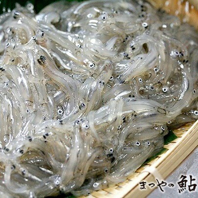 お1人様1点限り 楽天市場 国産 琵琶湖産 極上 氷魚 稚鮎 500ｇ p P1700円税別 業務用 ヤヨイ 品揃え豊富 業務用食品問屋ヤヨイ New限定品 Lexusoman Com