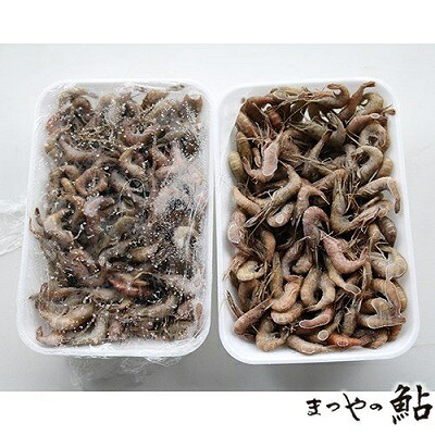 国産（岐阜県産）　冷凍　手長えび　500ｇ（匹7～8cm）&times;10P（P7,870円税別）　業務用　ヤヨイ｜品揃え豊富！業務用食品問屋ヤヨイ