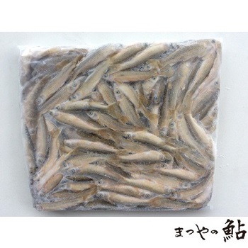 半額品 楽天市場 国産 琵琶湖産 冷凍 本もろこ 1kg 匹7 8 5cm 10p P40円税別 業務用 ヤヨイ 品揃え豊富 業務用食品問屋ヤヨイ 全国組立設置無料 Lexusoman Com