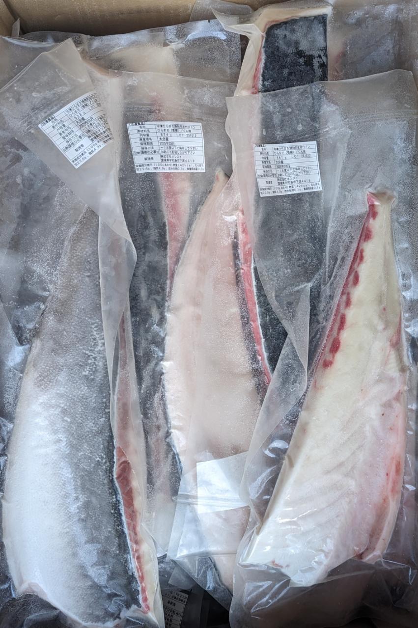 【不定貫】国産　養殖ヒラマサ　ロイン（皮付き）約15kg(背腹セット) ｋｇ2,860円税別　加熱用　業務用　ヤヨイ