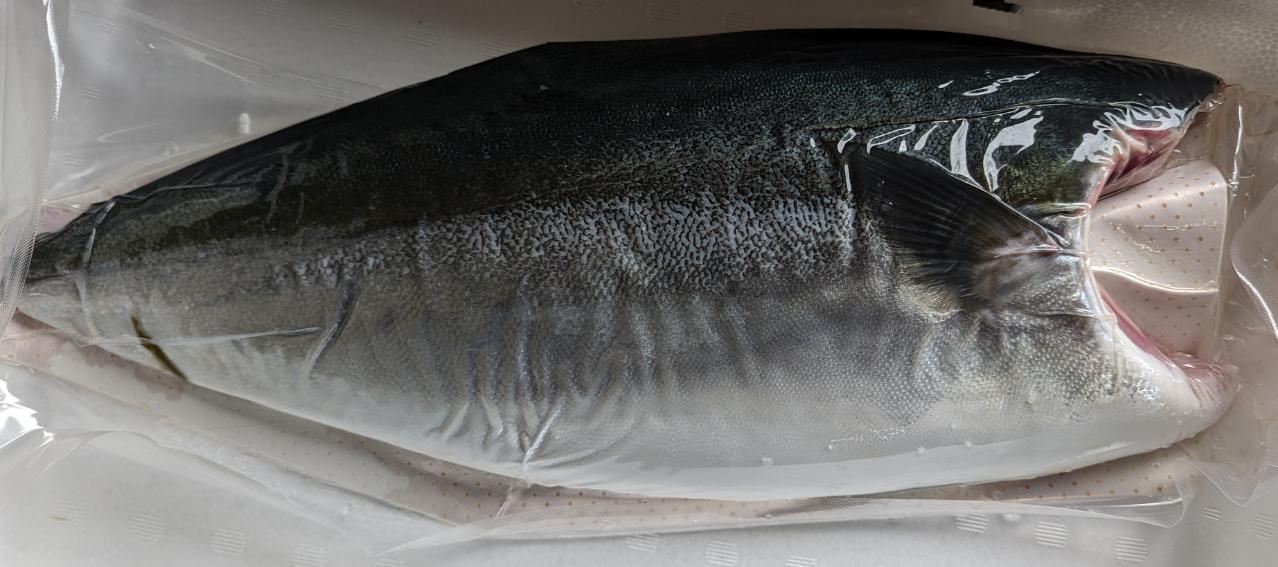 国産　養殖　ぶりフィーレ　約15Kg（Kg2,860円税別）業務用　冷凍　ヤヨイ