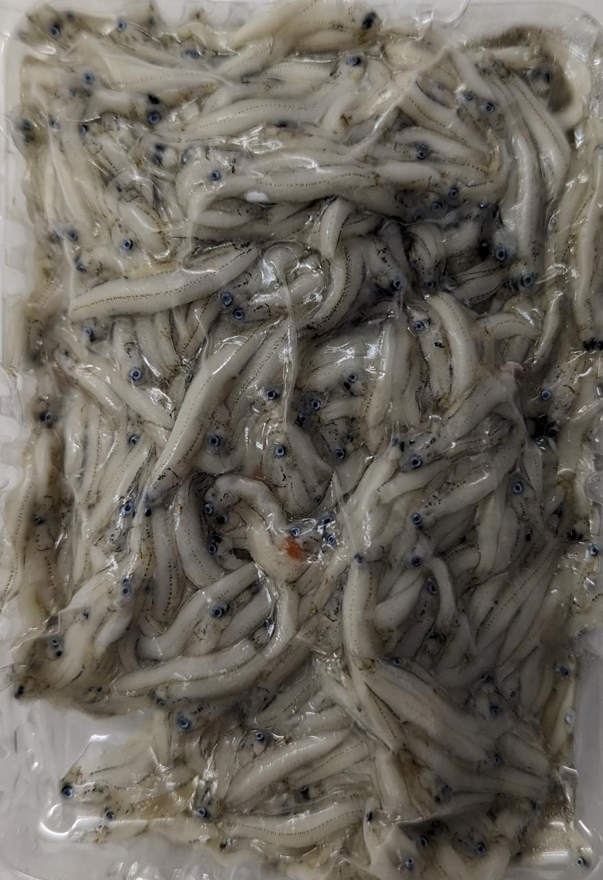国産　朝獲れ生しらす　100ｇ×48Ｐ（Ｐ650円税別）冷凍　業務用　ヤヨイ