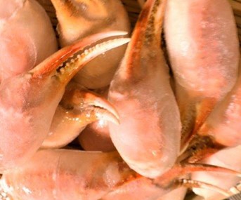 ボイルずわい蟹　2本爪ポーション　1Kg（Kg41-60個）×12P（Ｐ4,000円税別）各サイズ下記に記載中　冷凍　業務用　ヤヨイ　激安