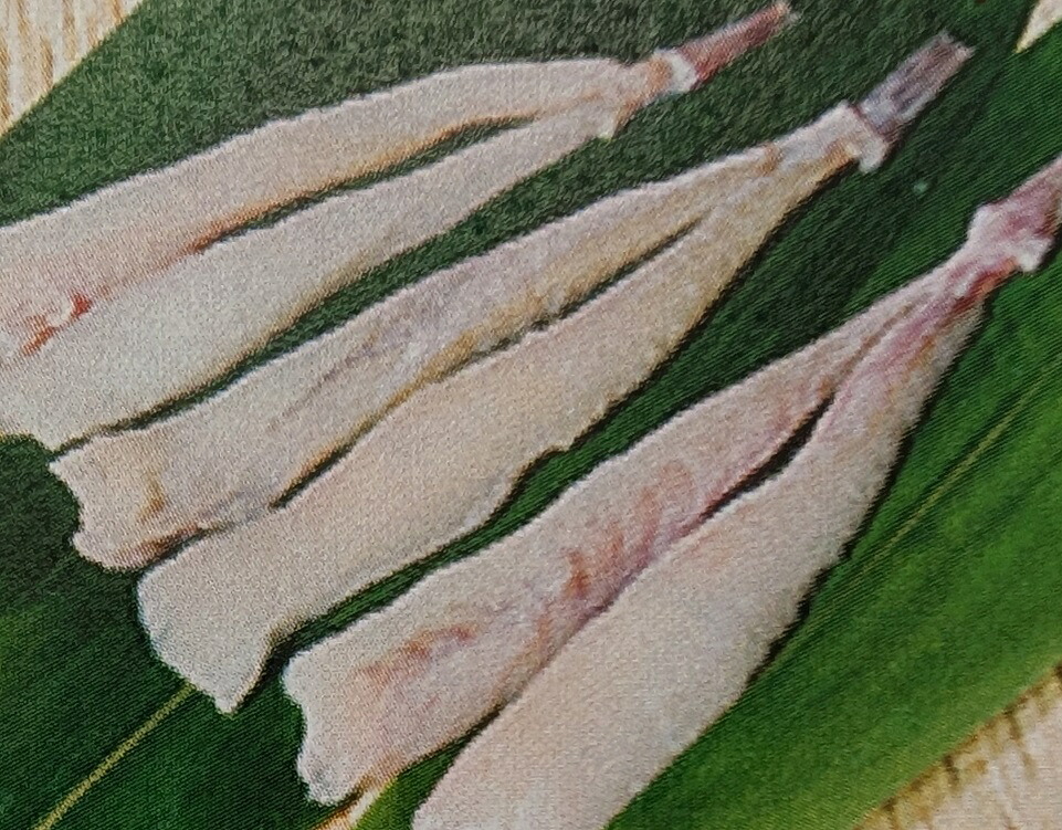 中国産　あんこう松葉　600g（30ｇ×20尾）×20P（P1,640円税別） アンコウ 加熱用　冷凍　業務用　ヤヨイ