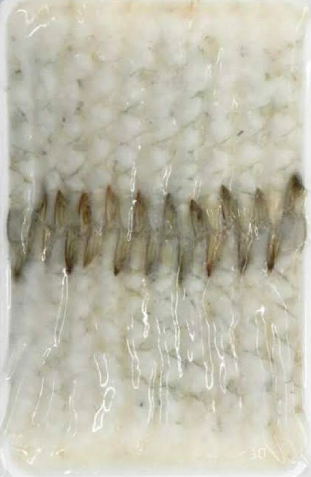 21-25尾付き伸ばし海老　バナメイ種　270ｇ（20尾）x40P（P670円税別）冷凍　業務用　ヤヨイ