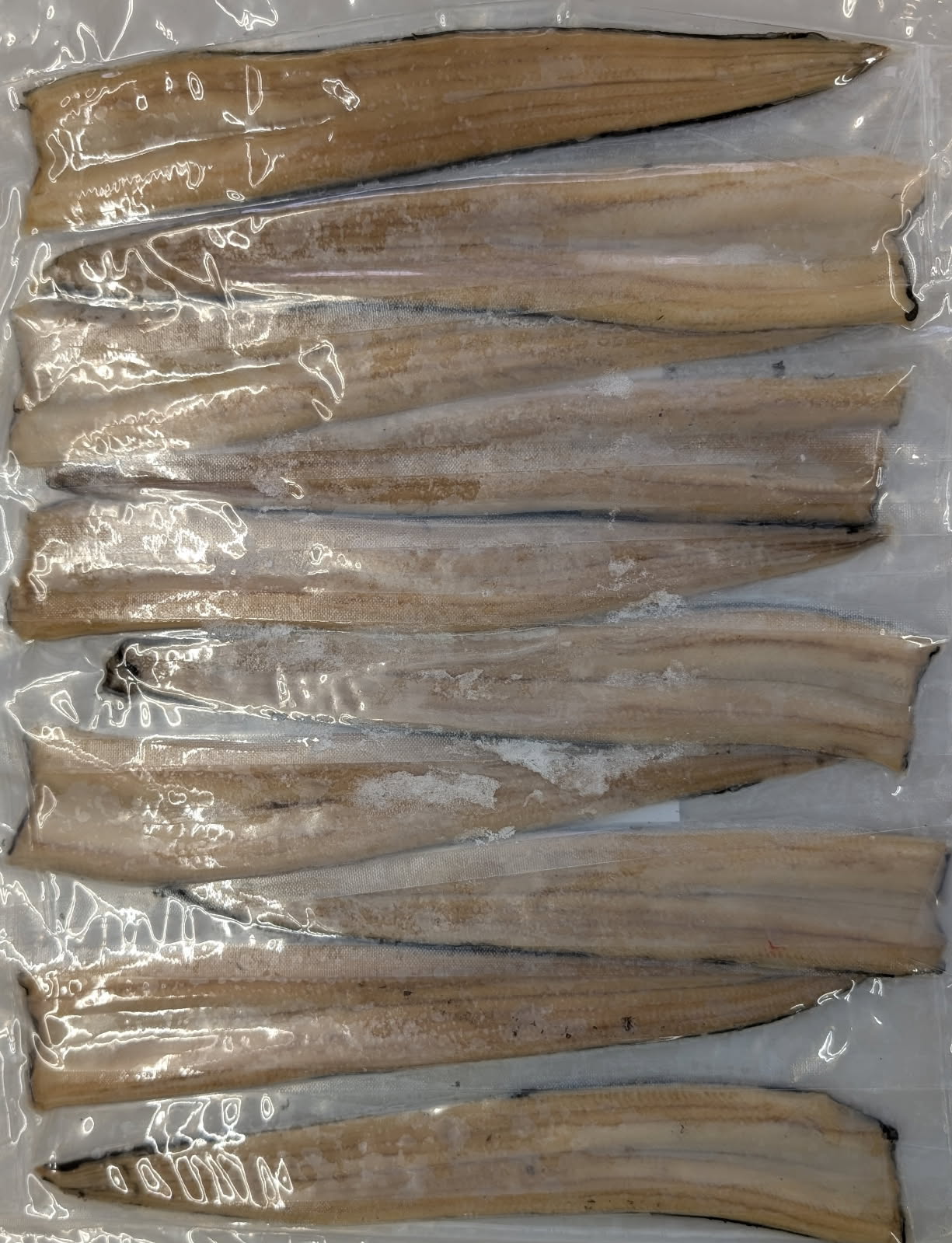 特大　煮穴子　1本物　500ｇ（10尾）×20P（P2,080円税別）冷凍　業務用　ヤヨイ 29,203円