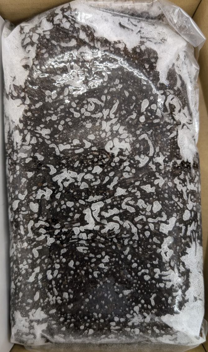 沖縄産 生もずく 1000g×12箱(箱940円税別)冷凍 業務用 ヤヨイ