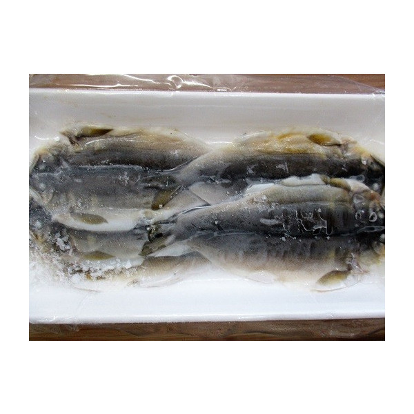 刺身・寿司ネタ　国産　冷凍　鮎寿司ネタ10尾×20Ｐ（Ｐ2,040円）業務用　ヤヨイ　ヤマ食