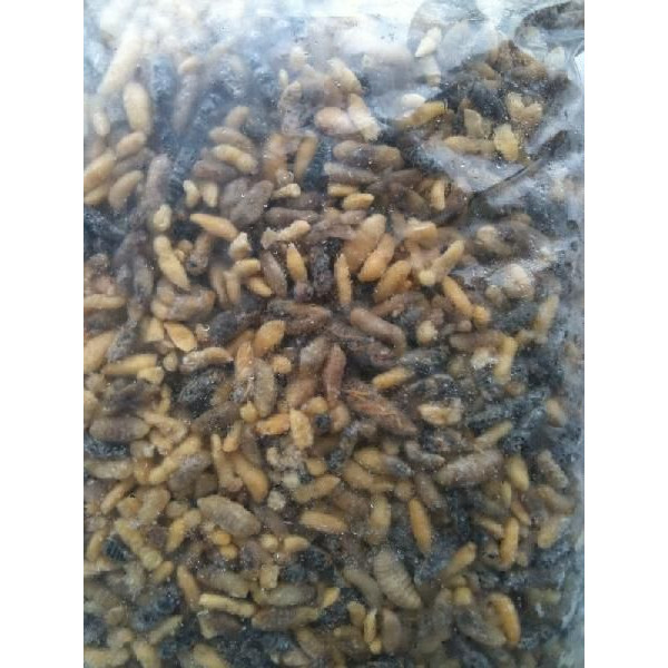 【高級珍味】冷凍蜂の子（中国産）１kg(kg11960円税別）