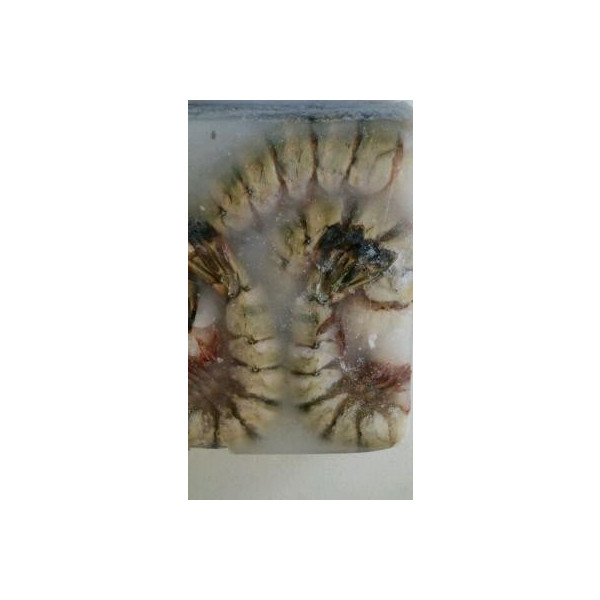 超特大サイズ　3-4無頭海老　1.8ｋｇ（約14匹）×６枚（枚12,600円税別）業務用　ヤヨイ