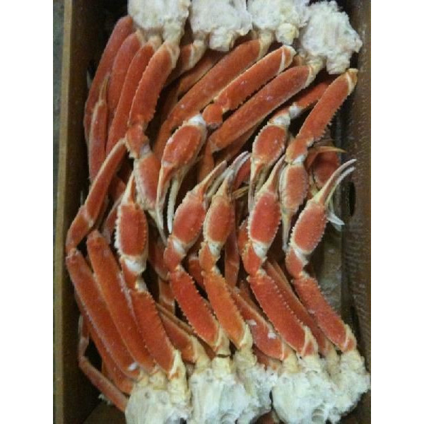 身入抜群　冷凍ボイルずわい蟹　3Ｌ（肩）５kg（kg4,700円税別）（約16肩）ヤヨイ　業務用