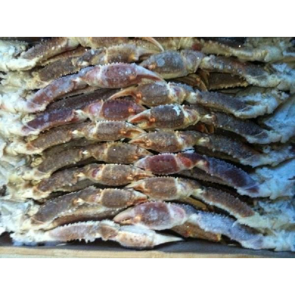 身入抜群　生ずわい蟹　肩　3Ｌ　5Kg（kg5,300円税別）（約15肩）冷凍　特大　ヤヨイ