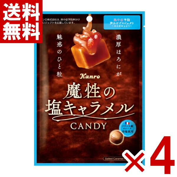 【専用出品】塩キャラメル 北海道 キャラいも 70g オホーツクの塩 九州産 さつまいも