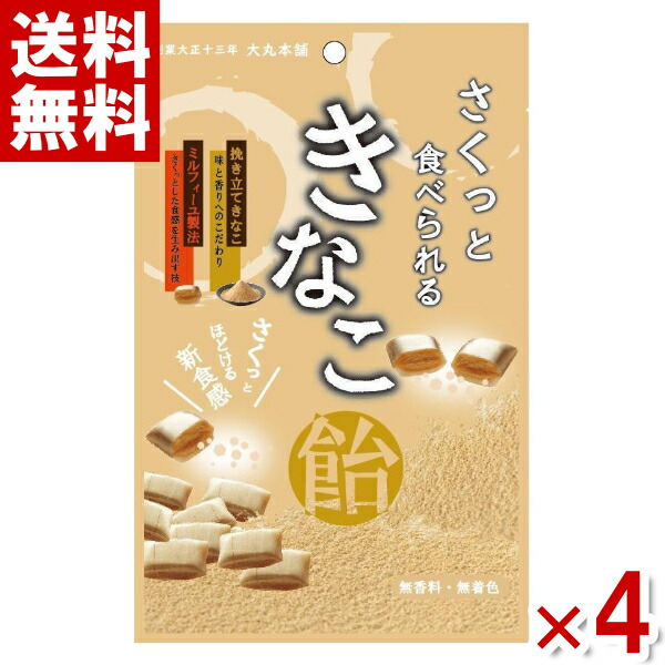 だいきちきなこ商品 坂口製粉所 北海道産 きなこ黒豆 1袋（60g）| コープこうべネット