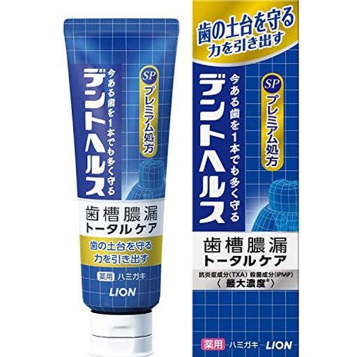 デントヘルス エアゾール [医薬部外品] 歯槽膿漏予防に 薬用ハミガキ SP 歯磨き粉 ハーブ 90G