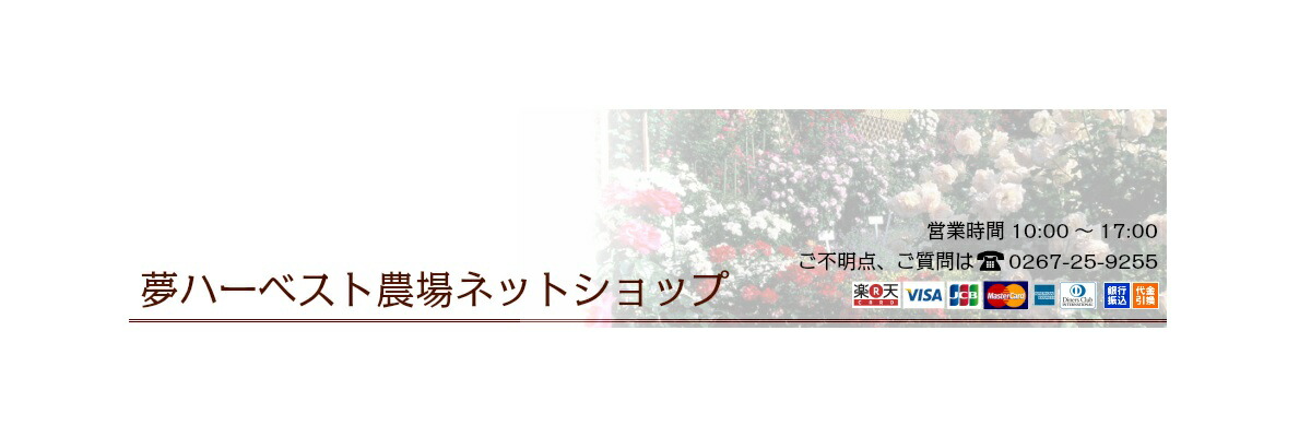 ��ŷ�Ծ� | ̴�ϡ��٥�������ͥåȥ���å� - ���å��󥷥�륪���뤫��ץꥶ�ޤǡ��ϡ��֥��å��ʤ�̴�ϡ��٥��������