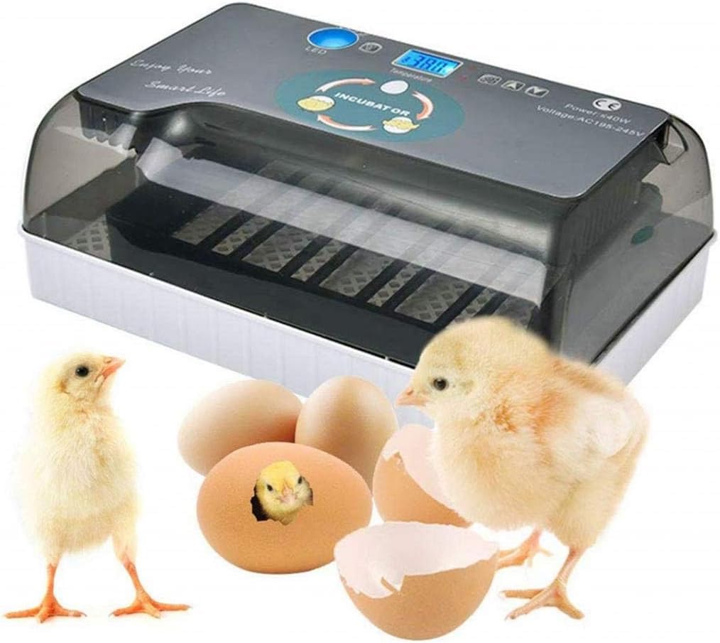 110自動インキュベーター 大容量 自動孵卵器 インキュベーター 鳥類専用ふ卵器 自動転卵式 孵化器 自動温度制御 簡単操作 照卵器付き 湿度保持 照卵器付き 小型 鶏卵 アヒル 子供教育用 ｜ゆめのマルシェ企画
